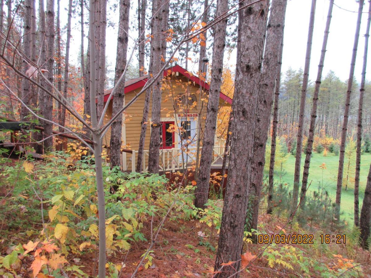 Saint Roch de Mekinac La Maison Sous Les Arbres المظهر الخارجي الصورة