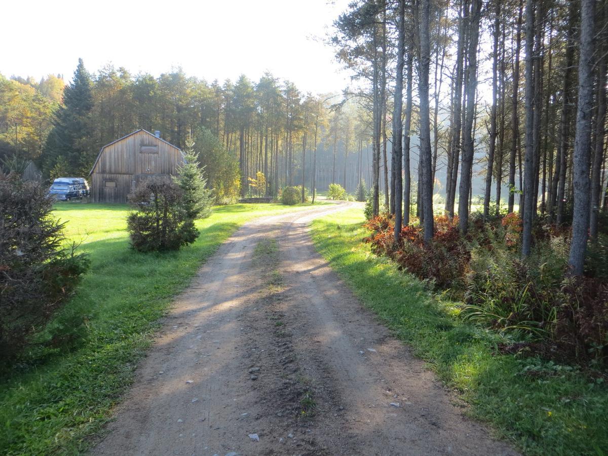 Saint Roch de Mekinac La Maison Sous Les Arbres المظهر الخارجي الصورة