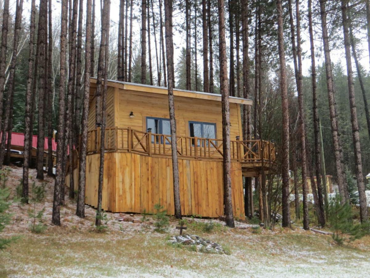 Saint Roch de Mekinac La Maison Sous Les Arbres المظهر الخارجي الصورة