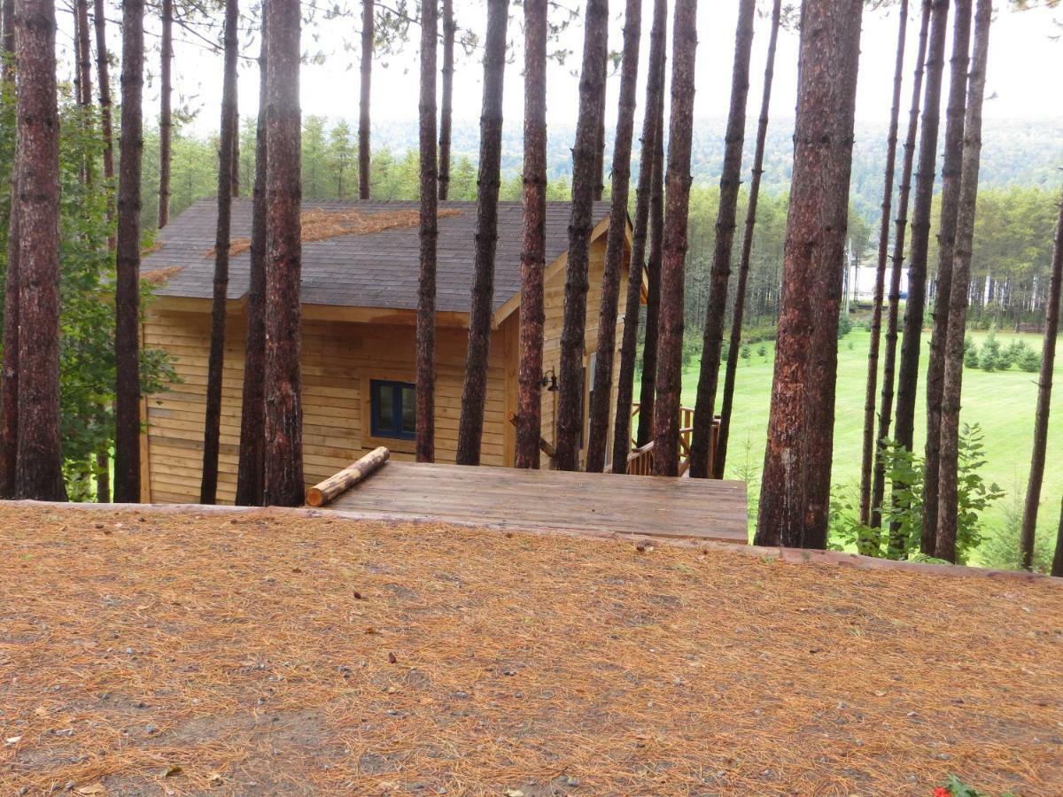 Saint Roch de Mekinac La Maison Sous Les Arbres المظهر الخارجي الصورة