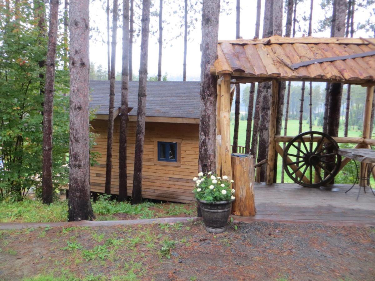 Saint Roch de Mekinac La Maison Sous Les Arbres المظهر الخارجي الصورة