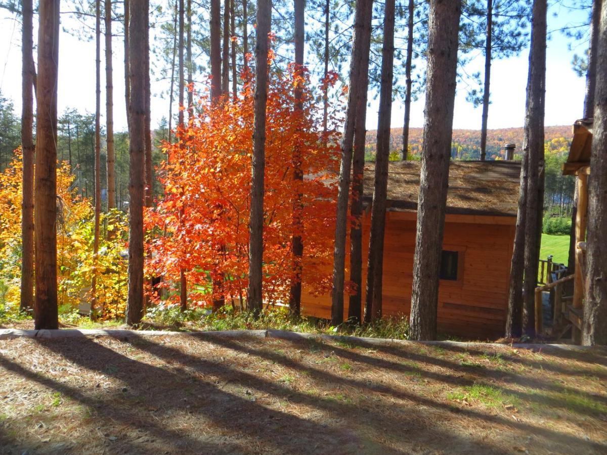 Saint Roch de Mekinac La Maison Sous Les Arbres المظهر الخارجي الصورة