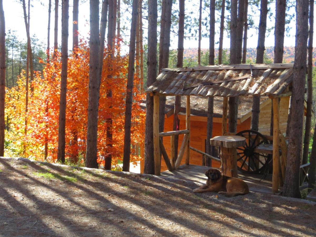 Saint Roch de Mekinac La Maison Sous Les Arbres المظهر الخارجي الصورة